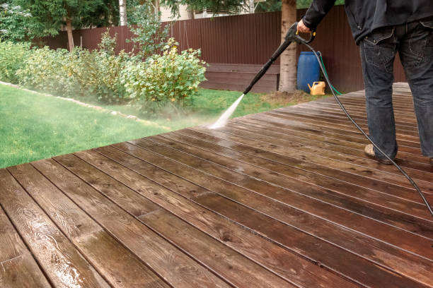 Best Pre-Holiday Cleaning  in Nutter Fort, WV