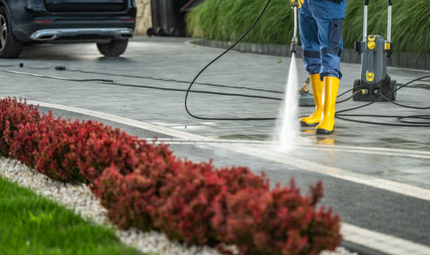 Best Sidewalk and Walkway Cleaning  in Nutter Fort, WV