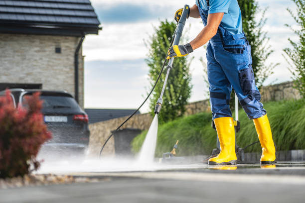 Best Gutter Cleaning  in Nutter Fort, WV